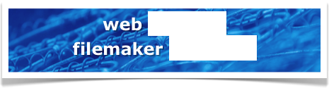 web services
filemaker solutions